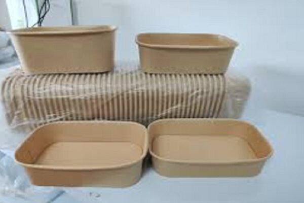 BENEFITS OF DISPOSABLE FOOD PACKAGING CONTAINERS